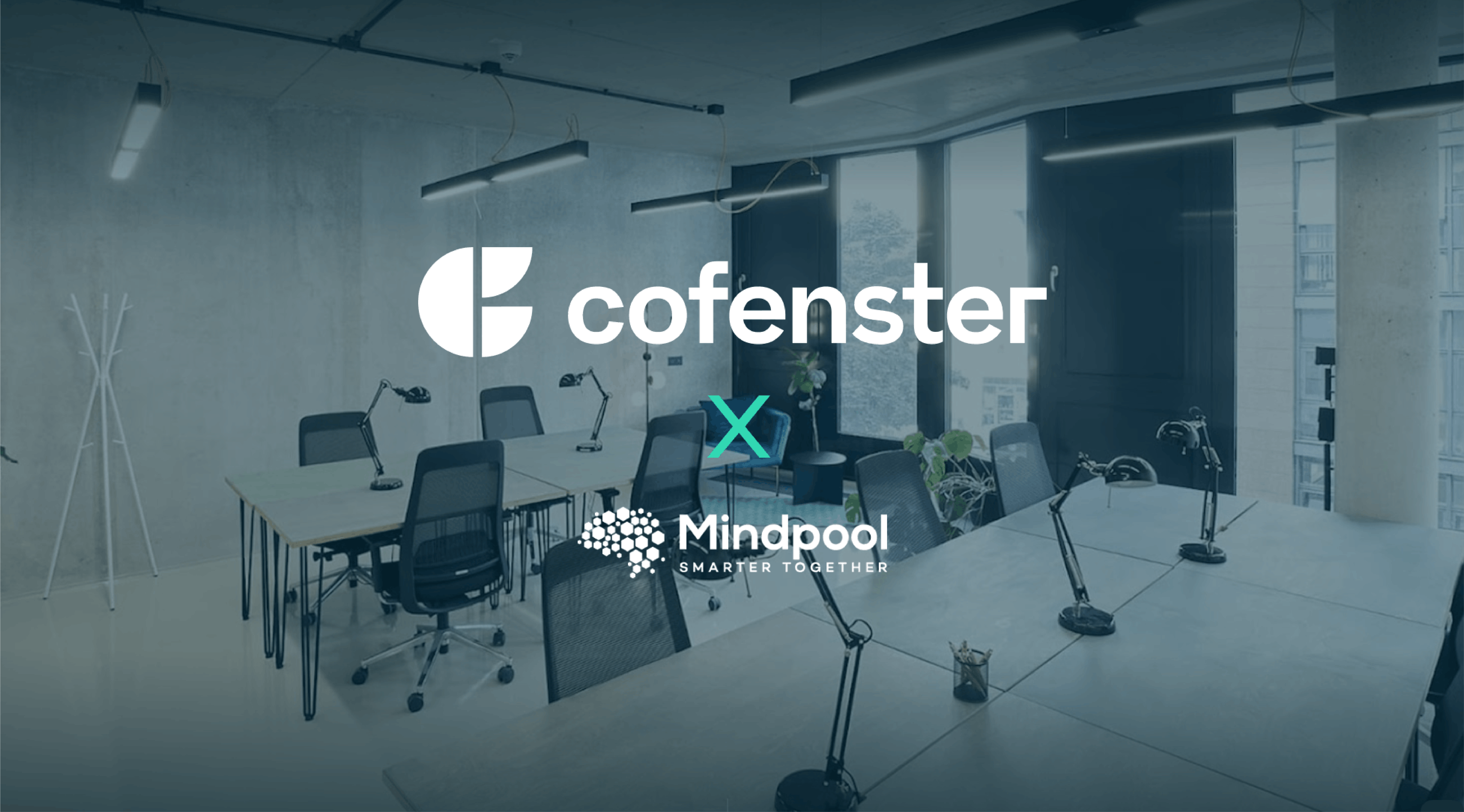 cofenster x Mindpool: how listening to employees helps manage growth 