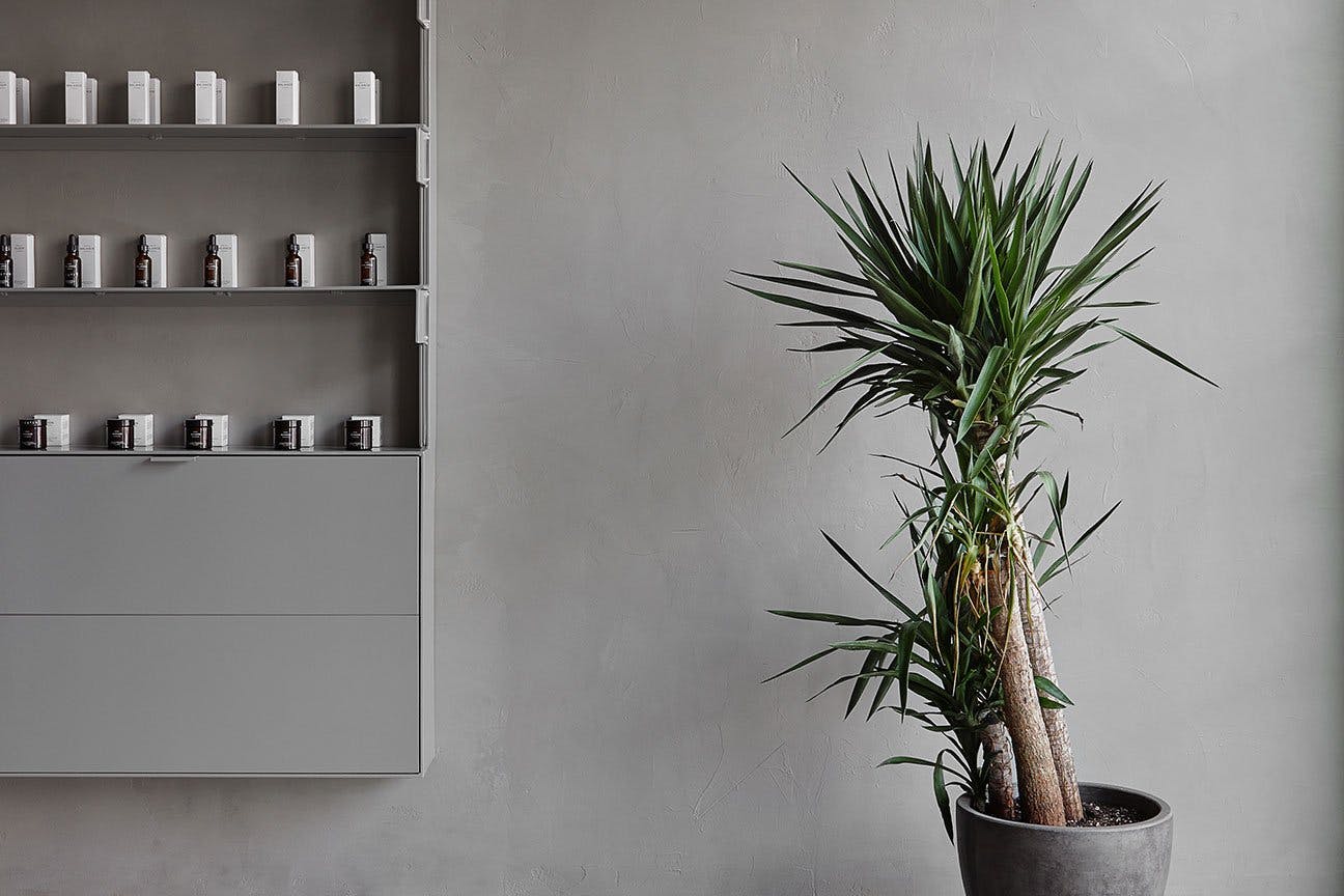 CONCEPT STORE 001 AUSTIN MINERAL