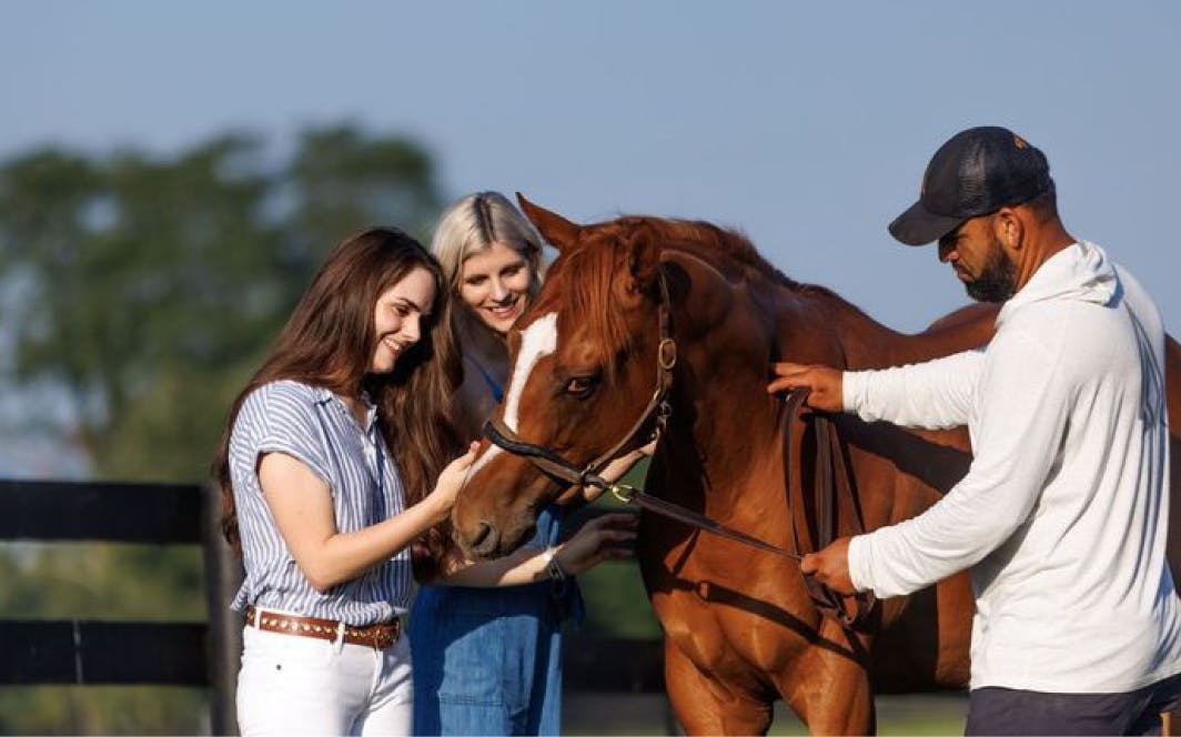 A group of people gathered around a horse, gently petting it.
