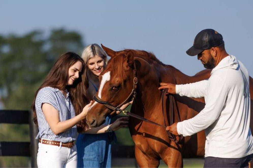 A group of people gathered around a horse, gently petting it.