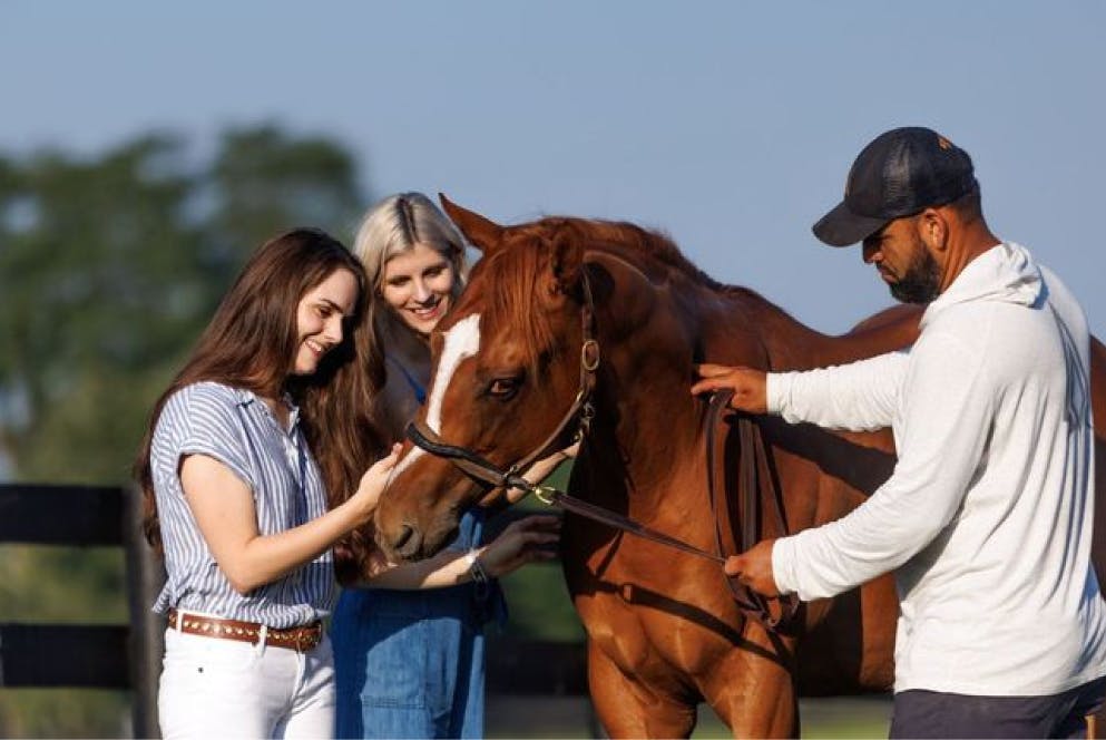 A group of people gathered around a horse, gently petting it during a Kentucky horse farm tour.