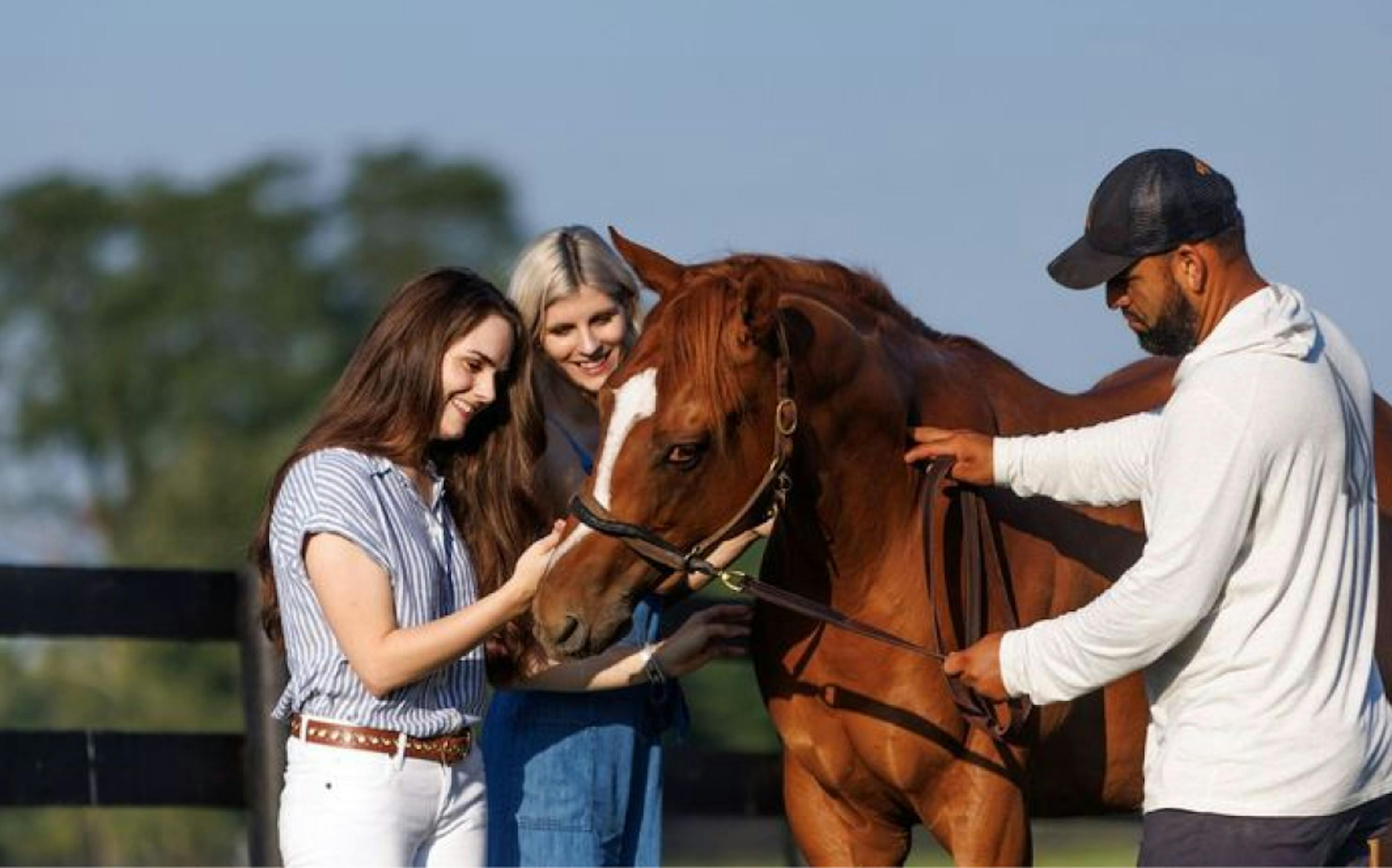 horse farm