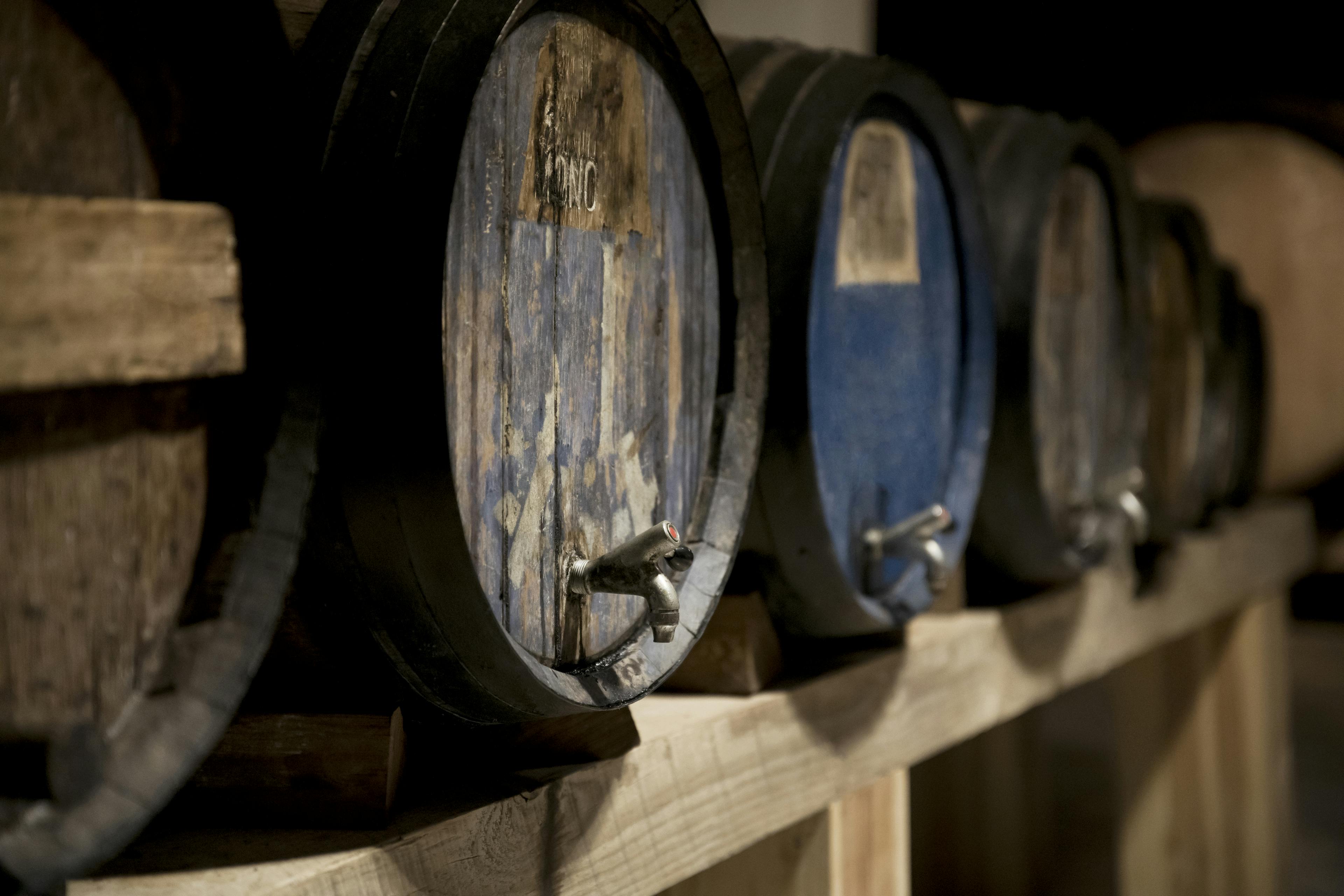 A row of lined wooden whiskey barrels, each with a spigot at the base, ready for sampling.
