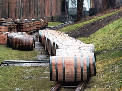 Wooden bourbon barrels lined up outside.