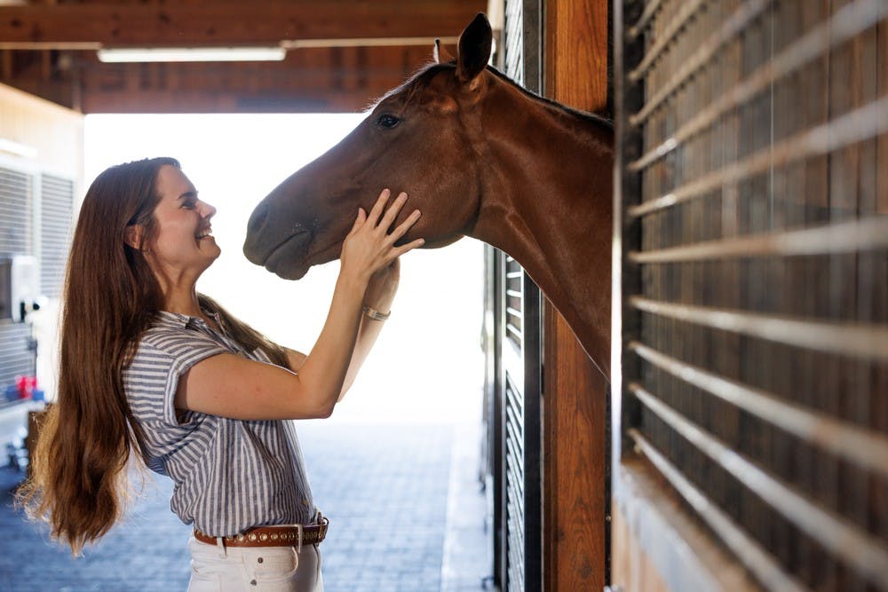 A woman on a horse farm tour smiling, gently petting a horse's back with a calm and affectionate gesture.