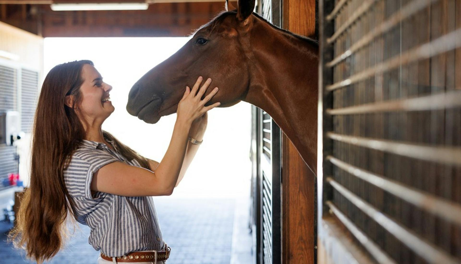 A woman on a horse farm tour smiling, gently petting a horse's back with a calm and affectionate gesture.