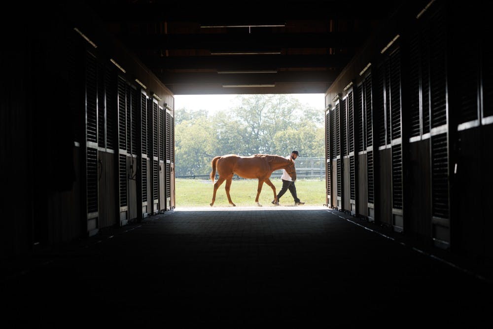 A horse being guided by a trainer at the end of the stable.