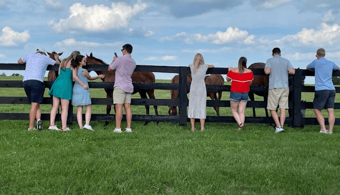 People on a horse farm tour, petting horses behind a fence.