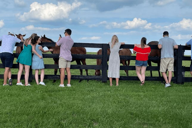 People on a horse farm tour, petting horses behind a fence.