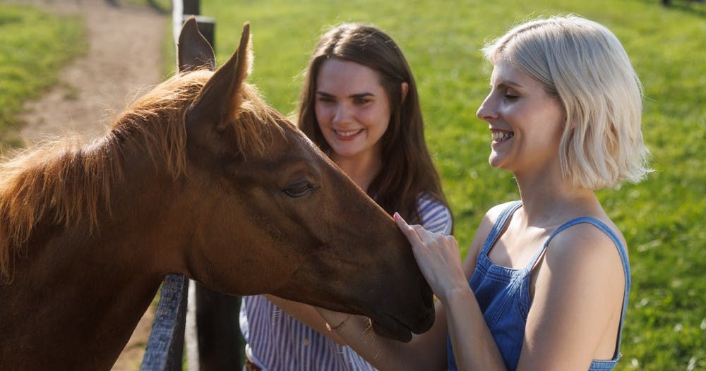 Two tourists at a scenic horse farm gently petting a horse’s head, enjoying a close-up interaction with the animal.