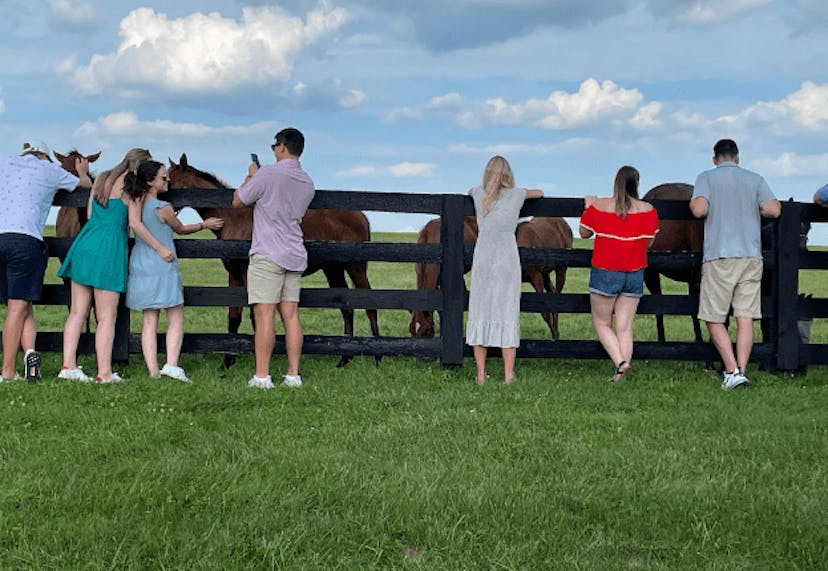 People on a horse farm tour, petting horses behind a fence.