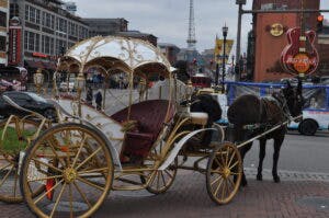 A horse-drawn carriage making its way through the streets of downtown Nashville
