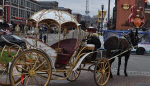 A horse-drawn carriage making its way through the streets of downtown Nashville.