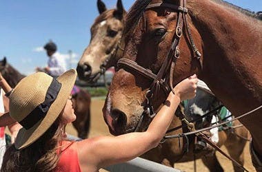 A woman petting a horse during a horse farm tour.