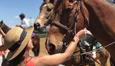 A woman petting a horse during a horse farm tour.