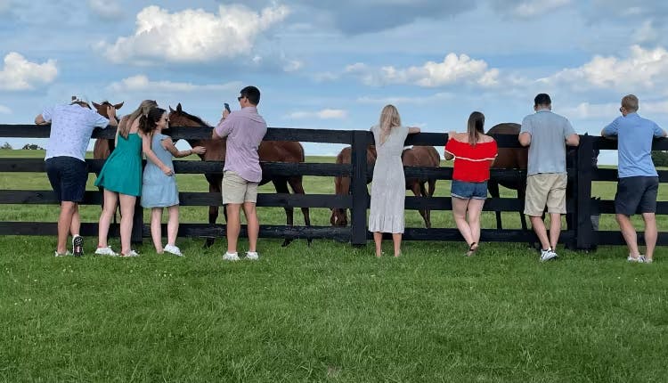 People on a horse farm tour, petting horses behind a fence.
