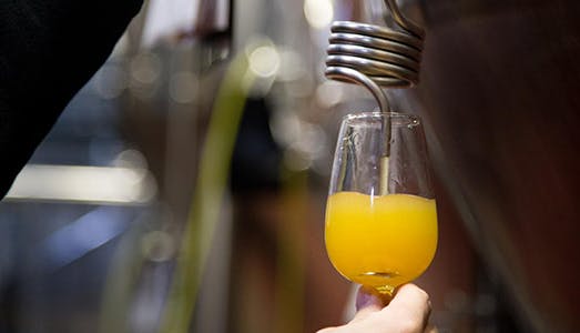 A glass being filled with craft beer directly from a tap installed on a wooden barrel at a brewery.
