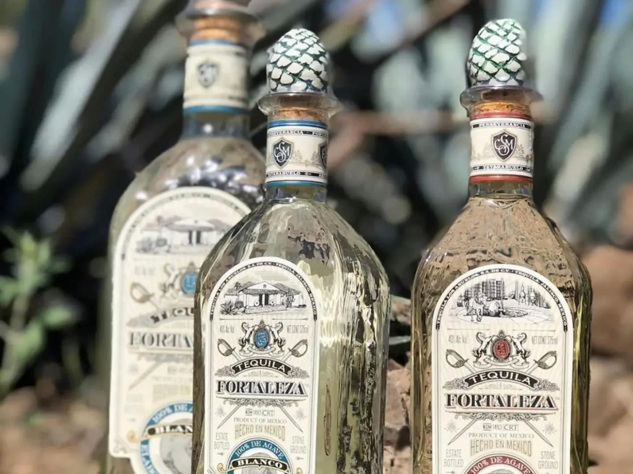 A photo of three Fortaleza bottles with a desert background