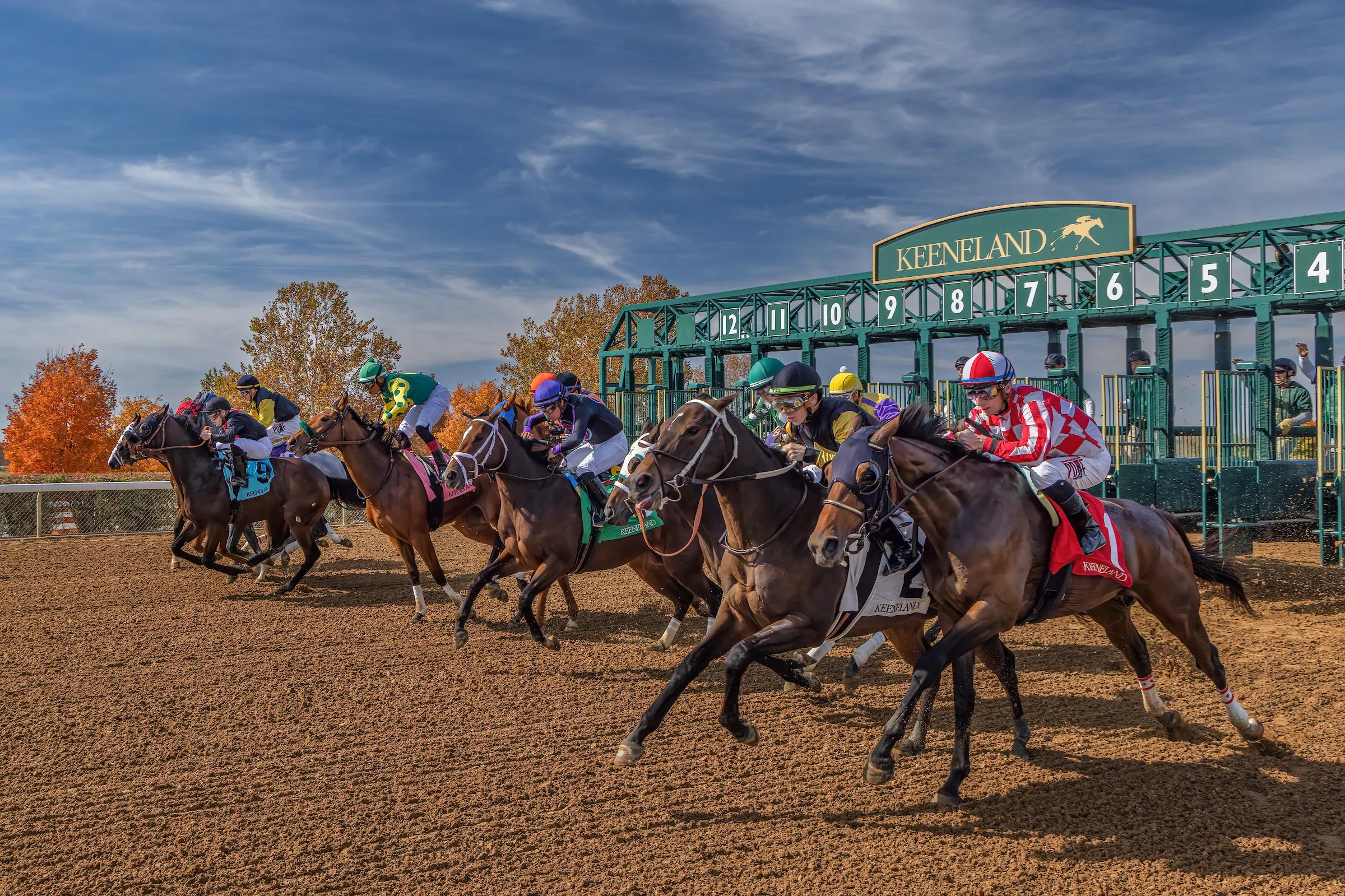 Triple Crown winning race horses exit the starting gate at Keeneland racetrack