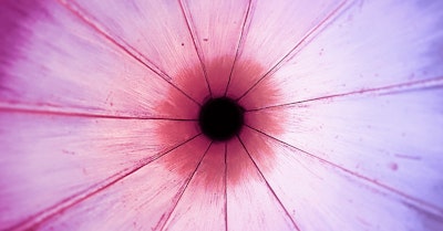 Pink magenta and purple circular shape with a black circle in the middle