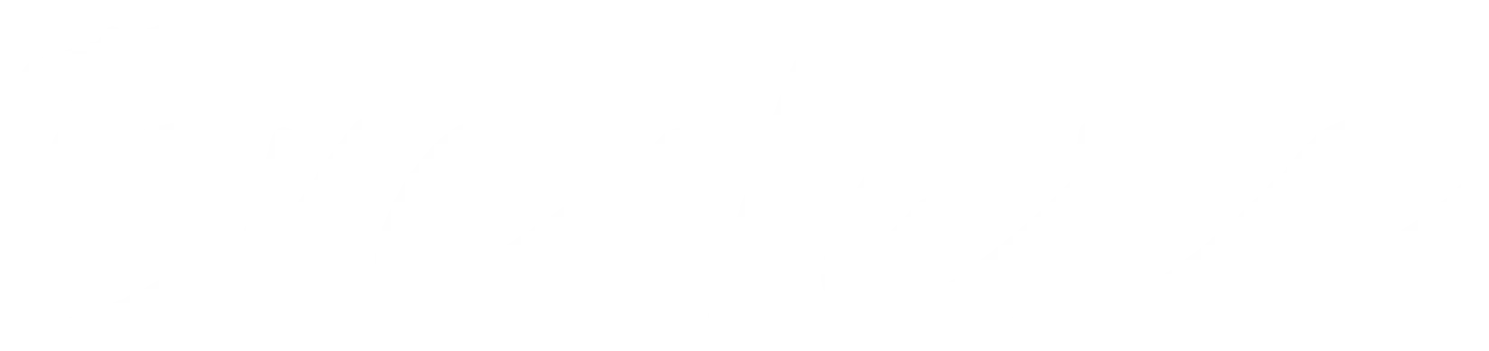 Partner icon