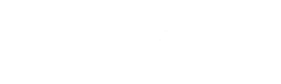 Partner icon