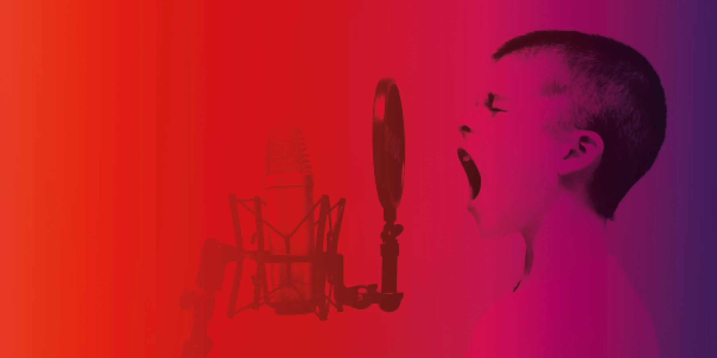 In plain English, what does a full-stack developer do?