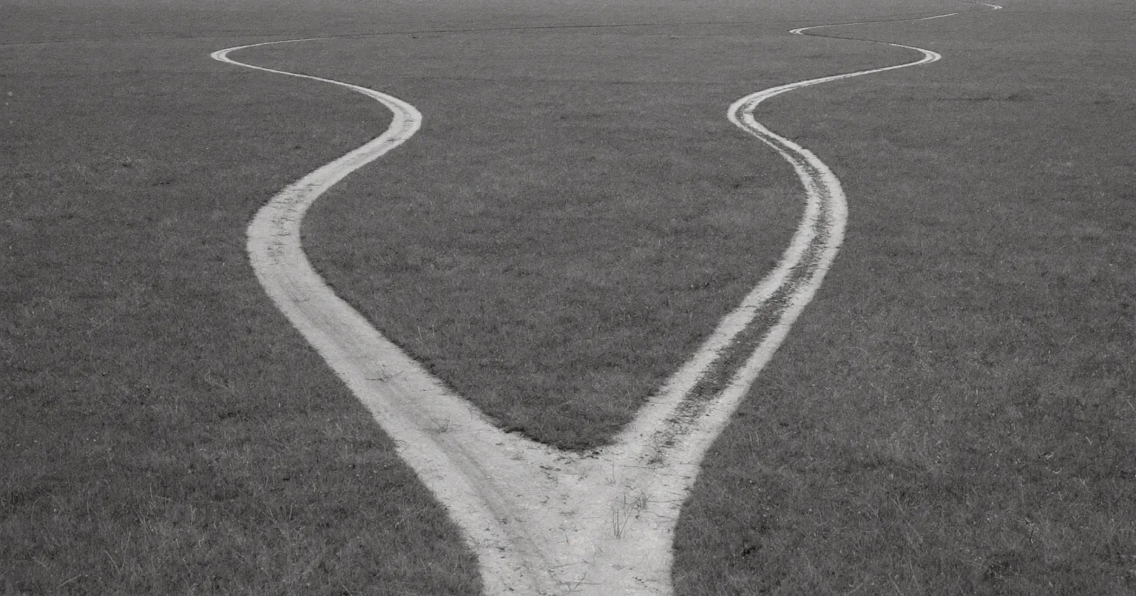 Two diverging paths at a fork in an open field, efficiency or effectiveness, the strategic choice, contemplative black and white