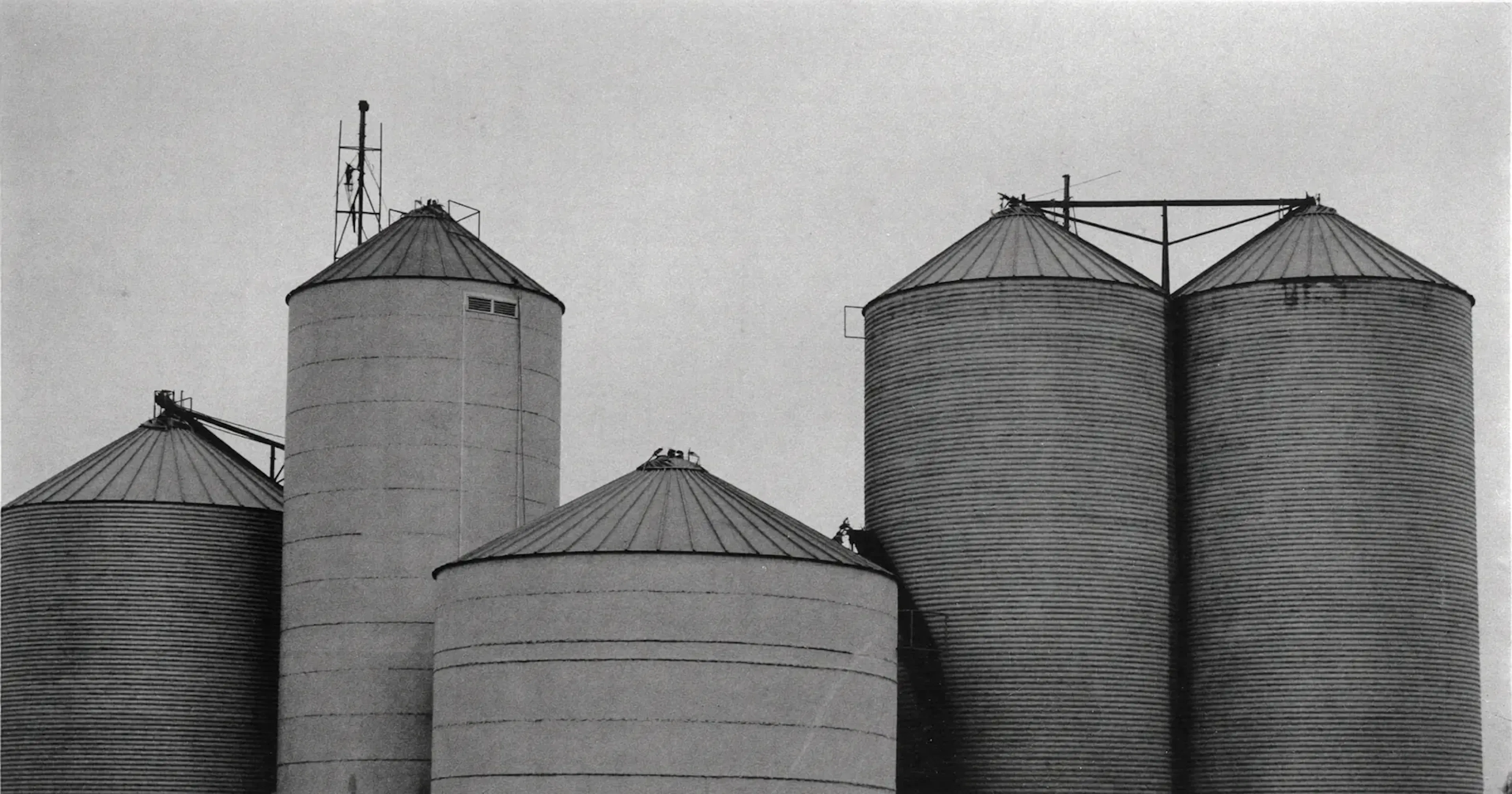 Separated grain silos standing apart, working in silos, organizational compartmentalization, contemplative black and white