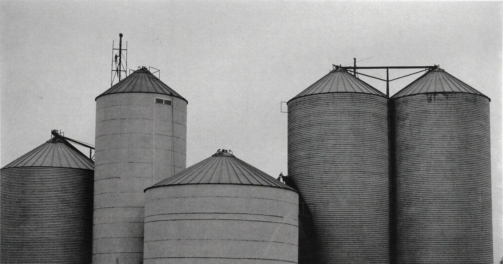Separated grain silos standing apart, working in silos, organizational compartmentalization, contemplative black and white