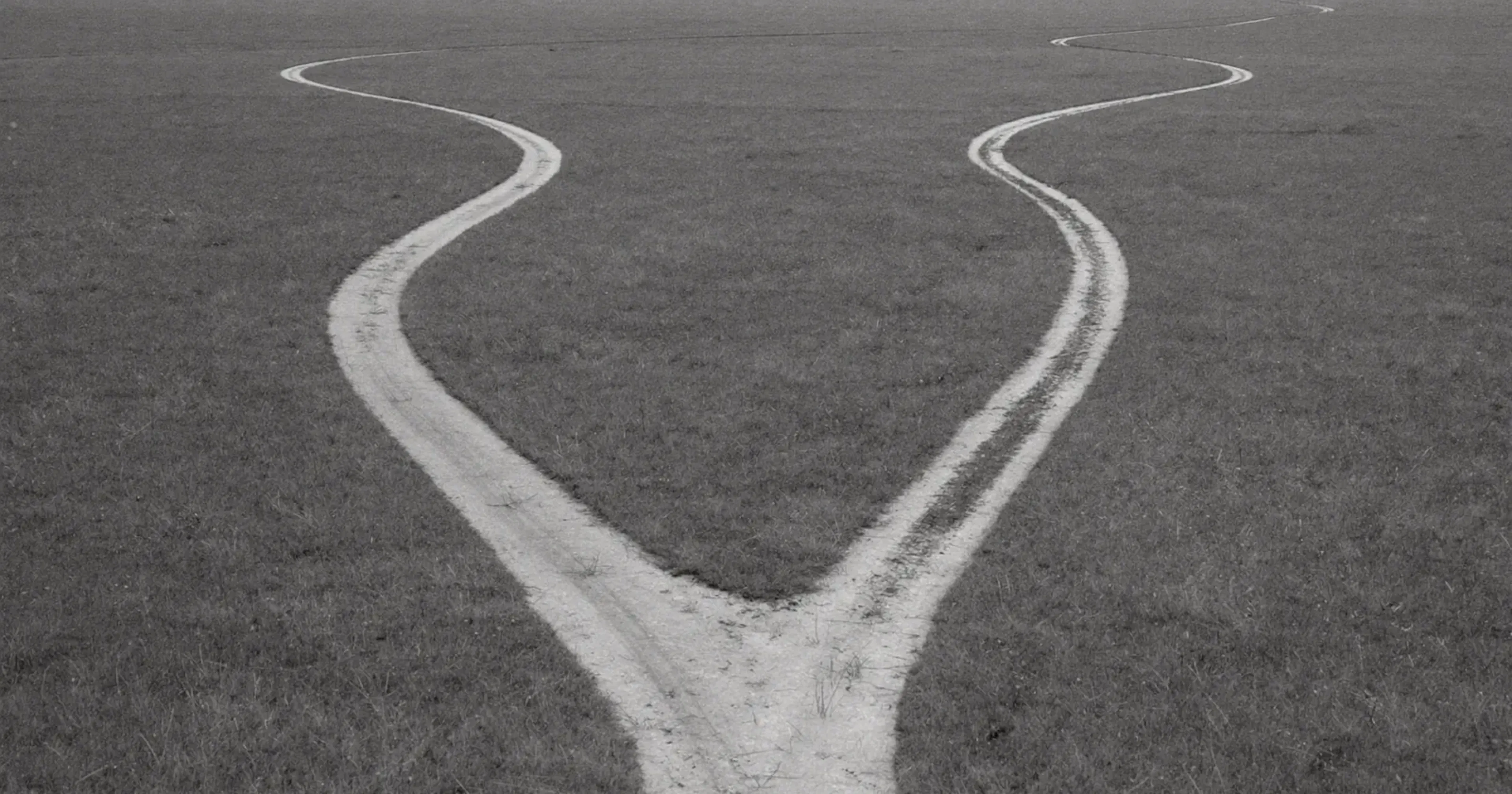 Two diverging paths at a fork in an open field, efficiency or effectiveness, the strategic choice, contemplative black and white