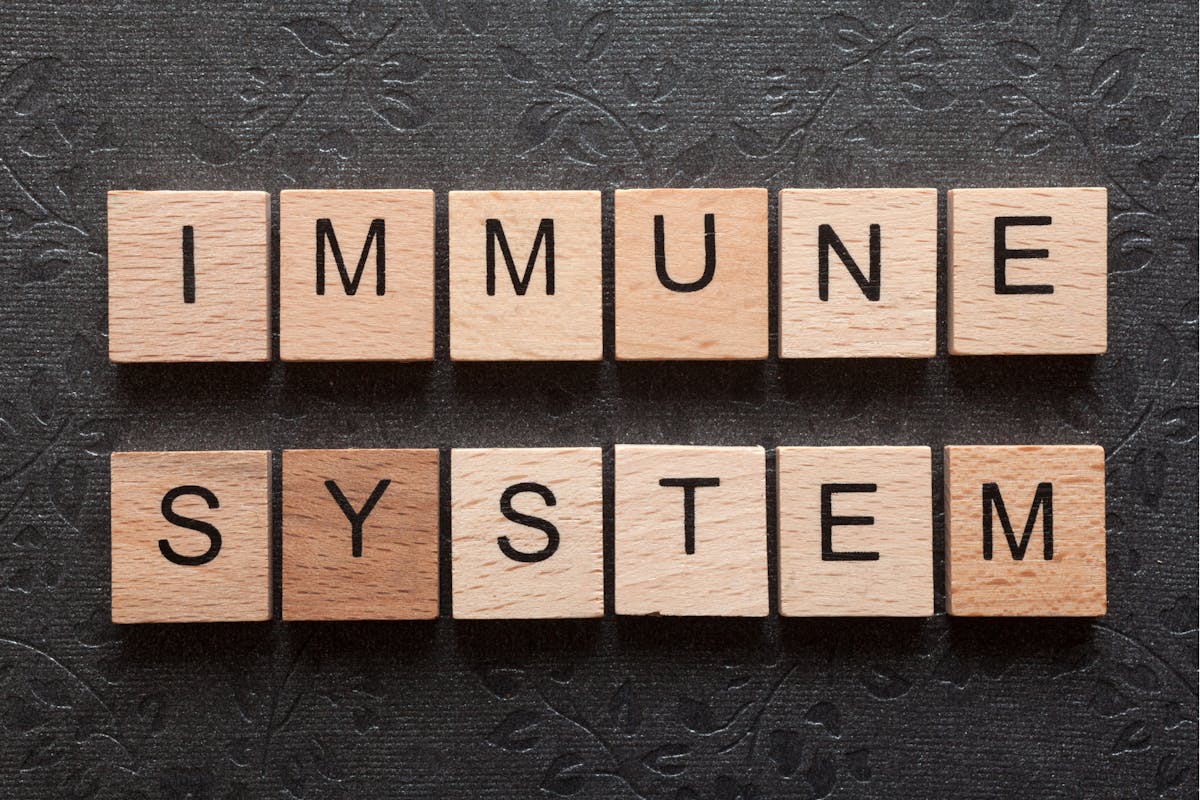 Immunsystem auf kleine Holzplättchen geschrieben.