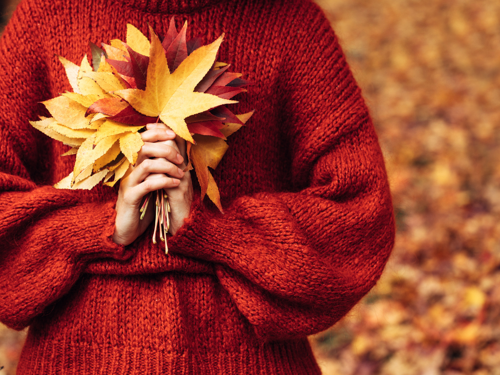 Frauenhände, die gelbe, gesammelte Herbstblätter halten. 