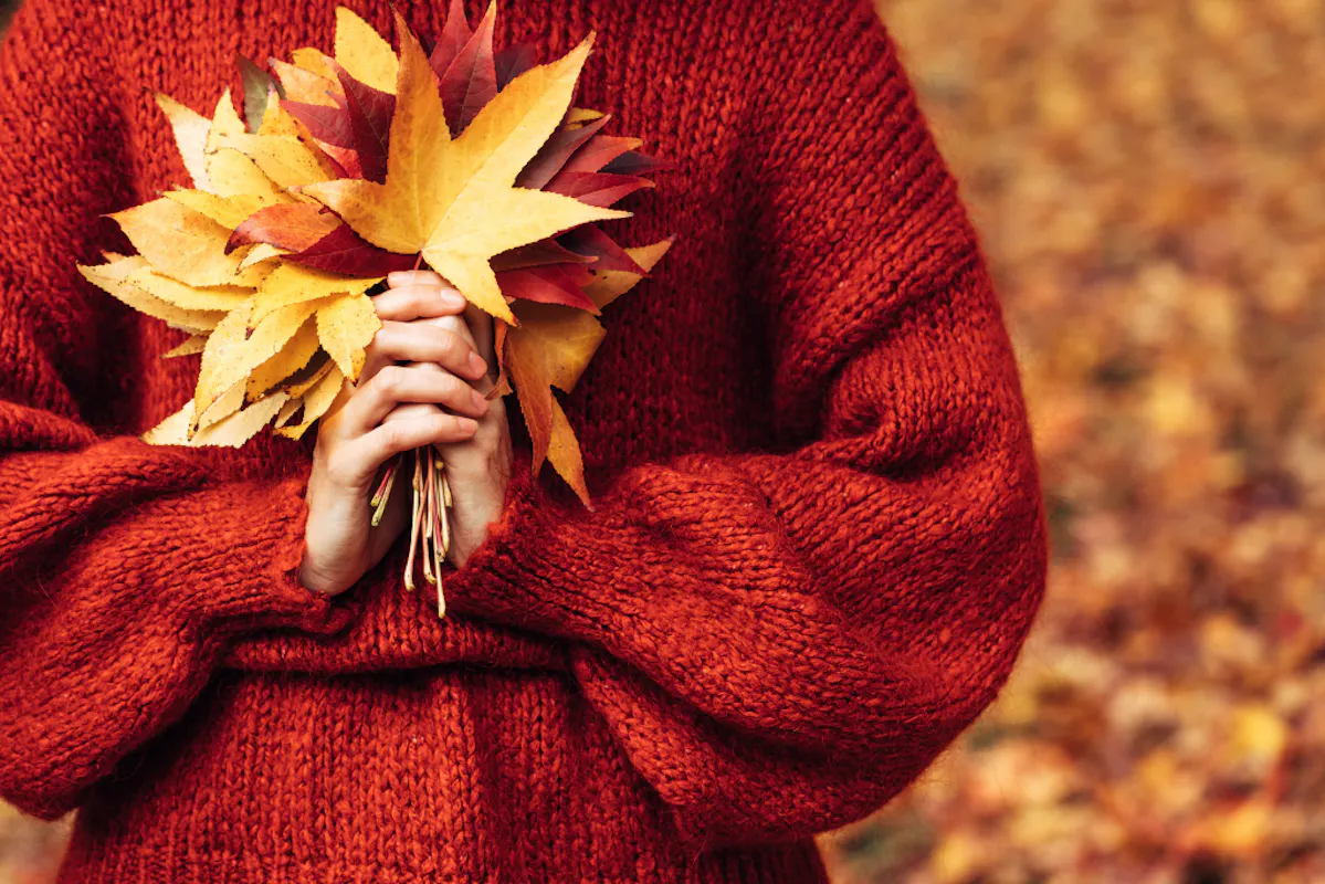 Frauenhände, die gelbe, gesammelte Herbstblätter halten.