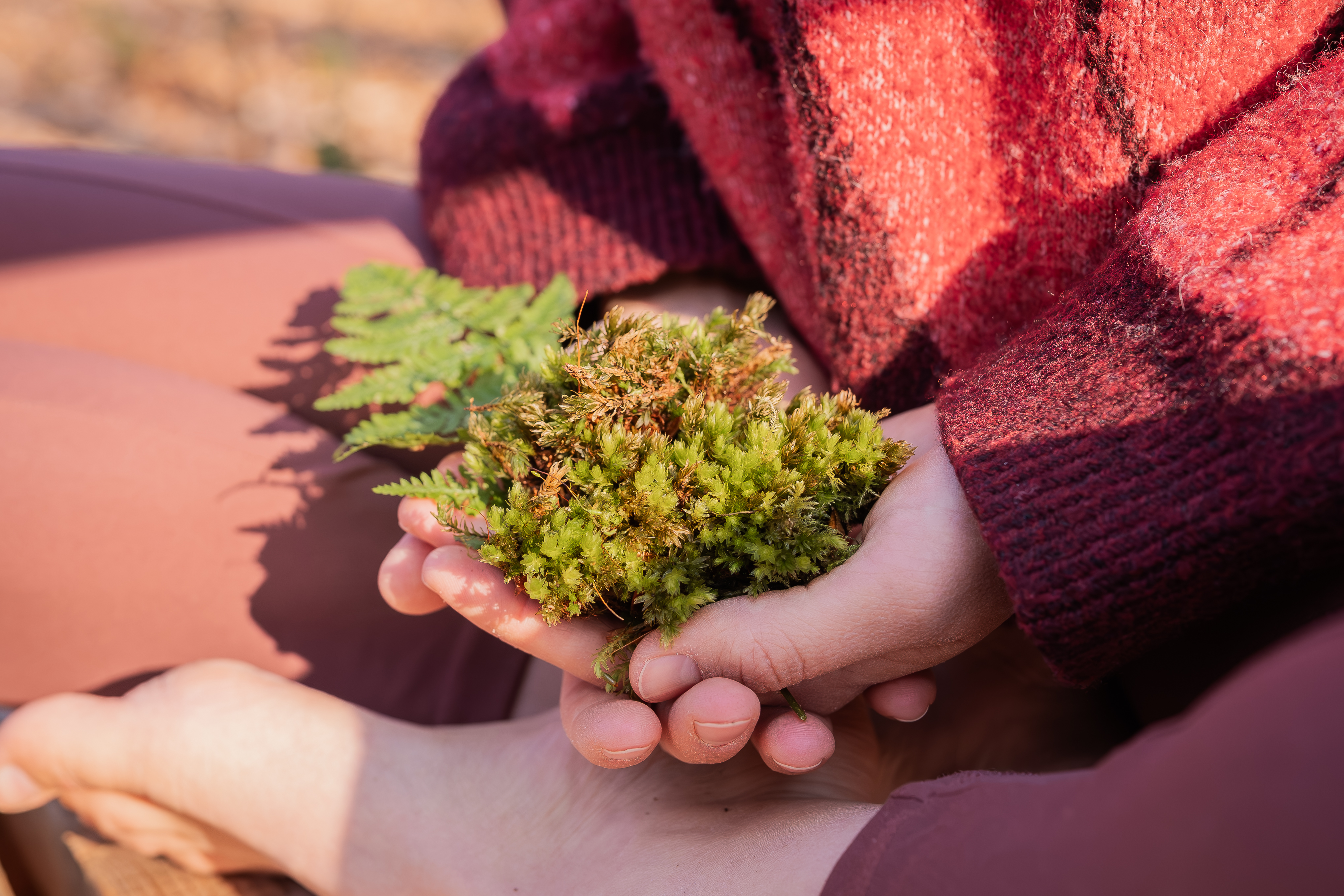 Dozentin hält Moss in ihren Händen in Höhe des Beckenbodens