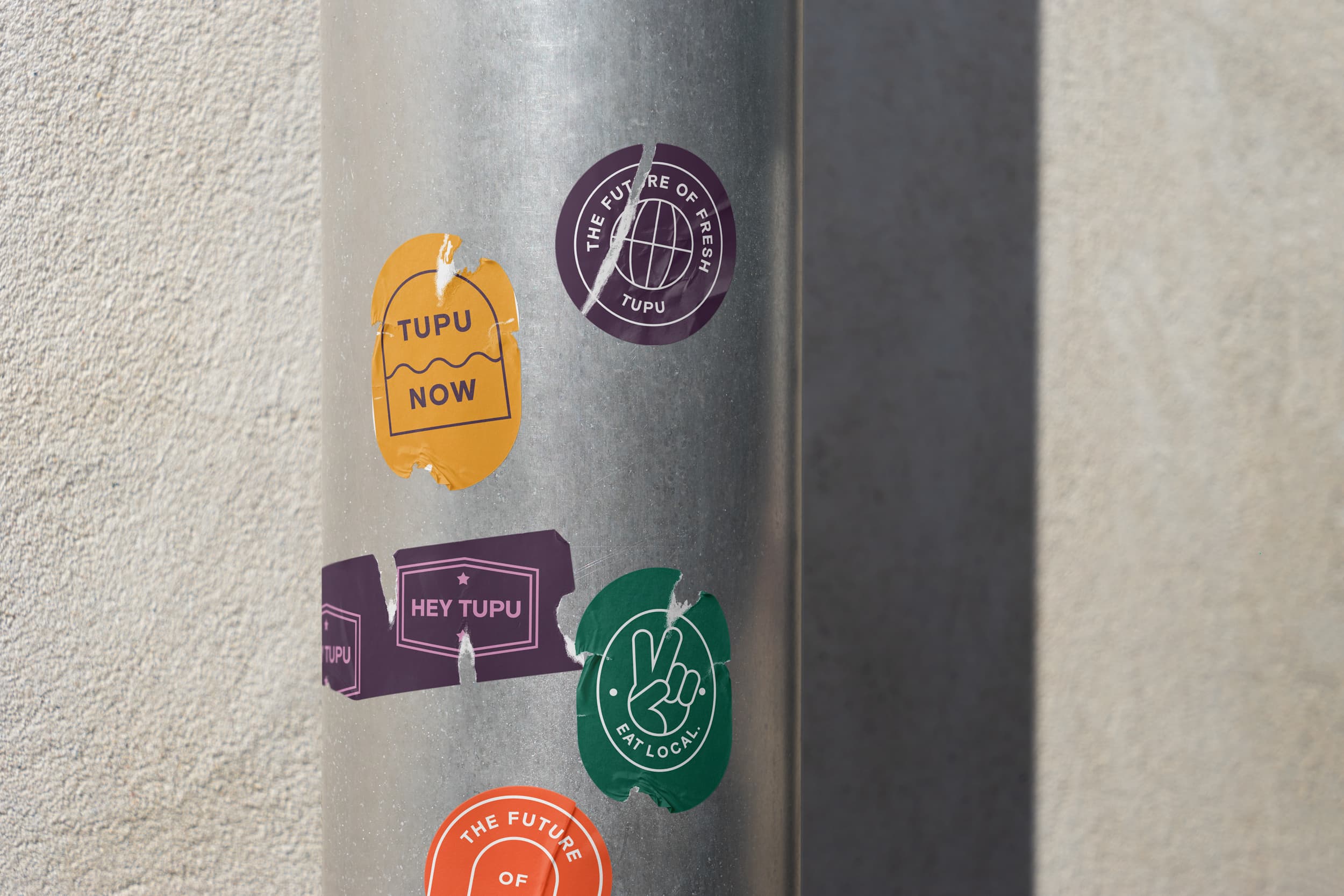 Project by Mister Studio