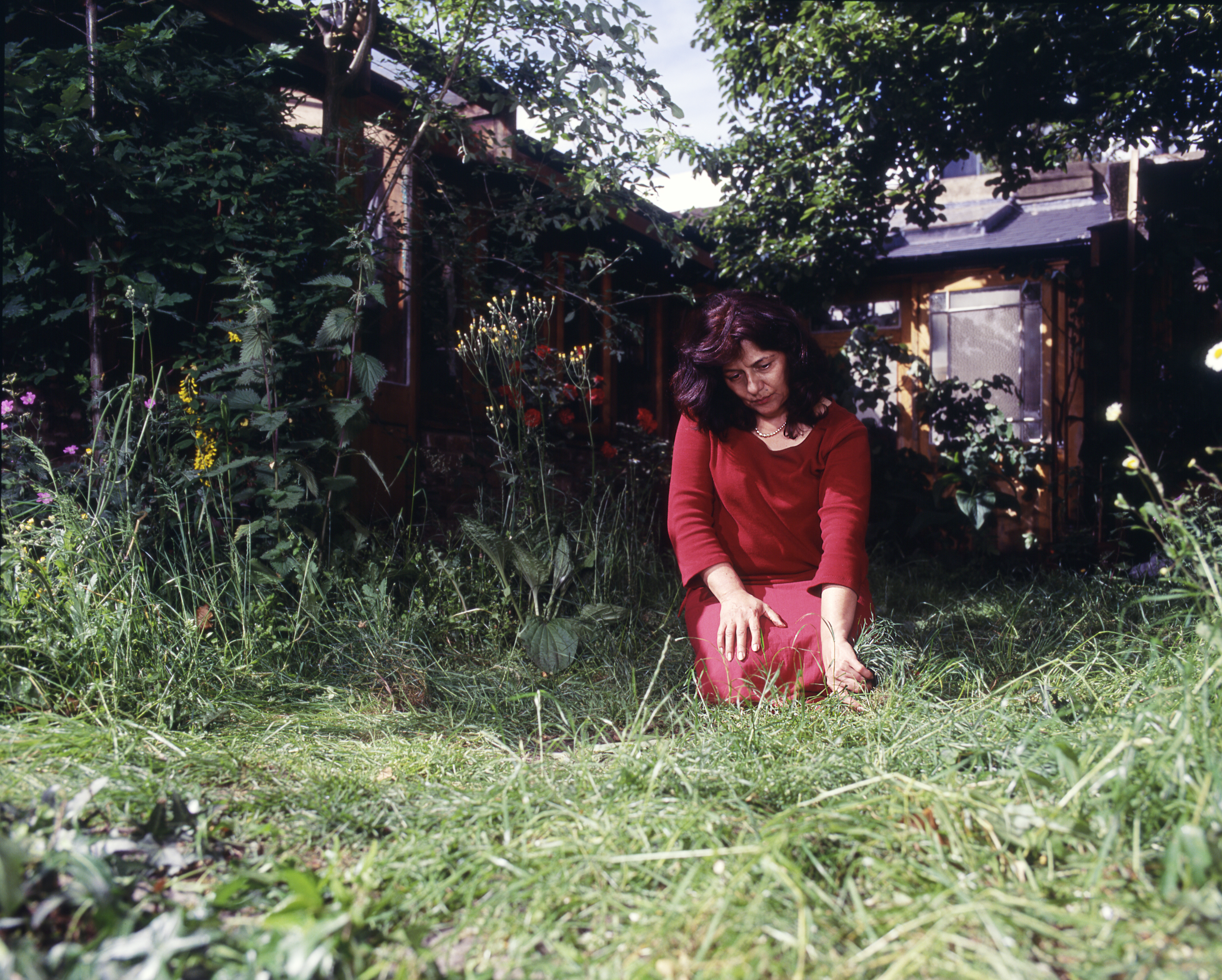 Gift from a Stranger