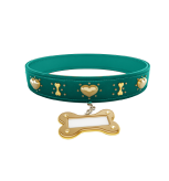 Pet collar