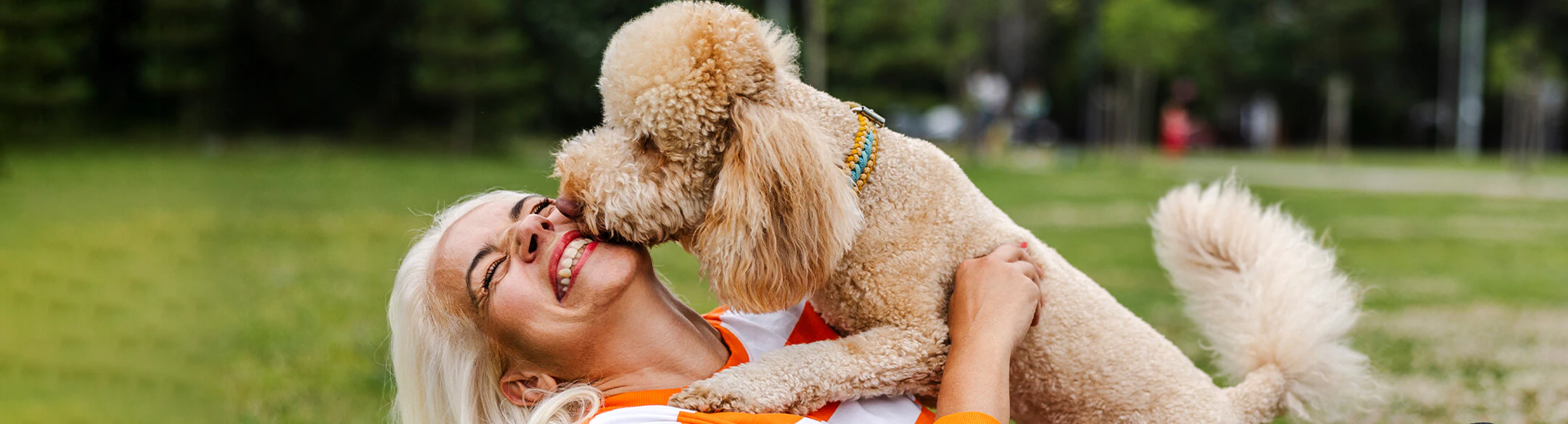 woman playing with poodle dog