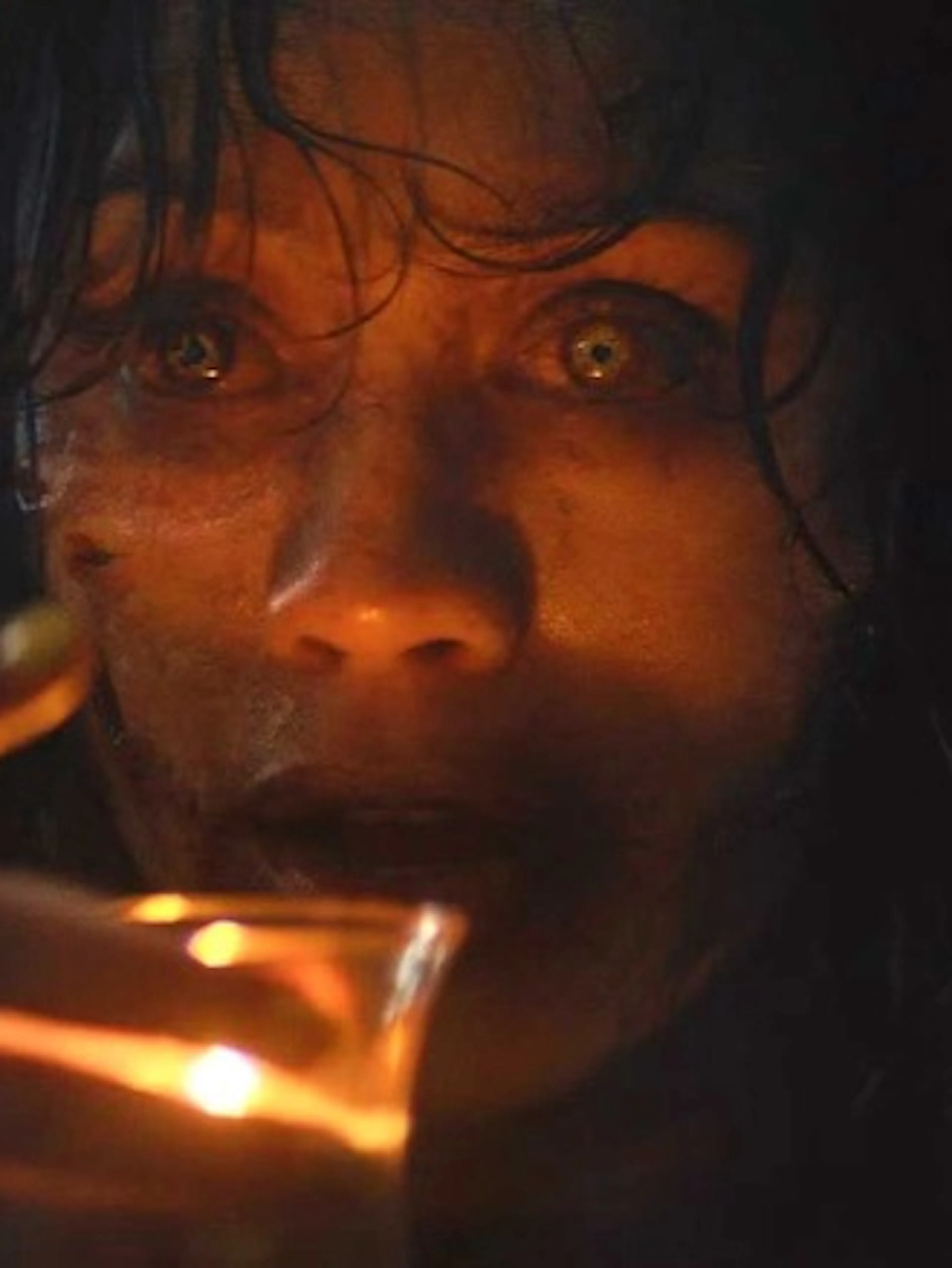 Affiche du film Evil Dead Burn