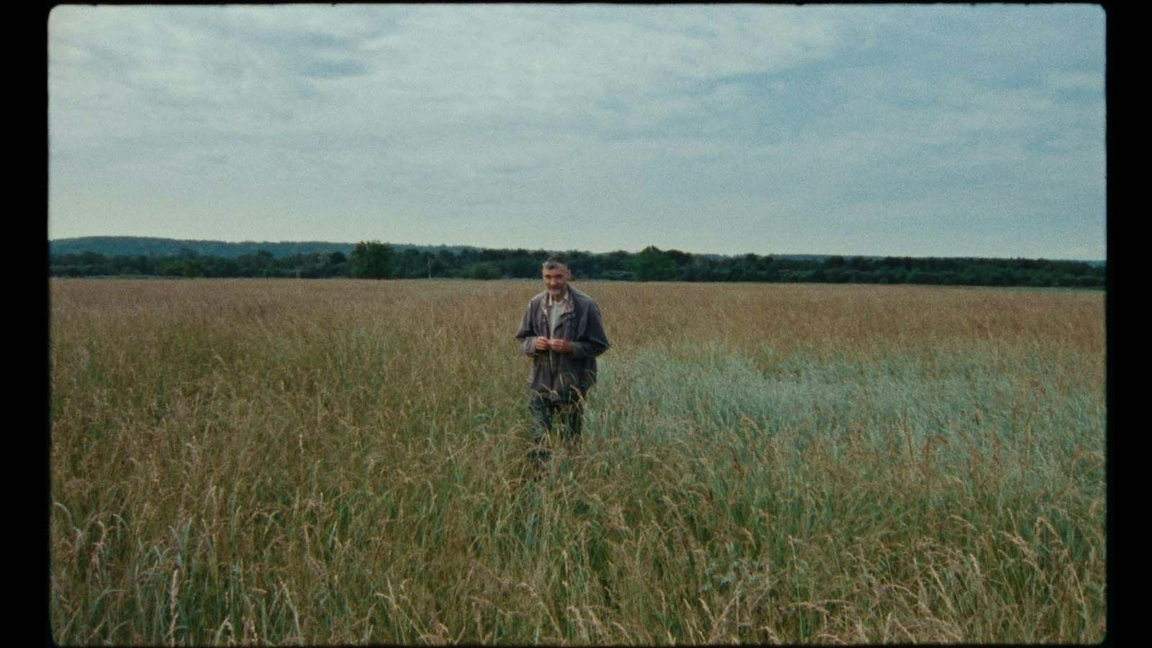 Illustration de Sept promenades avec Mark Brown