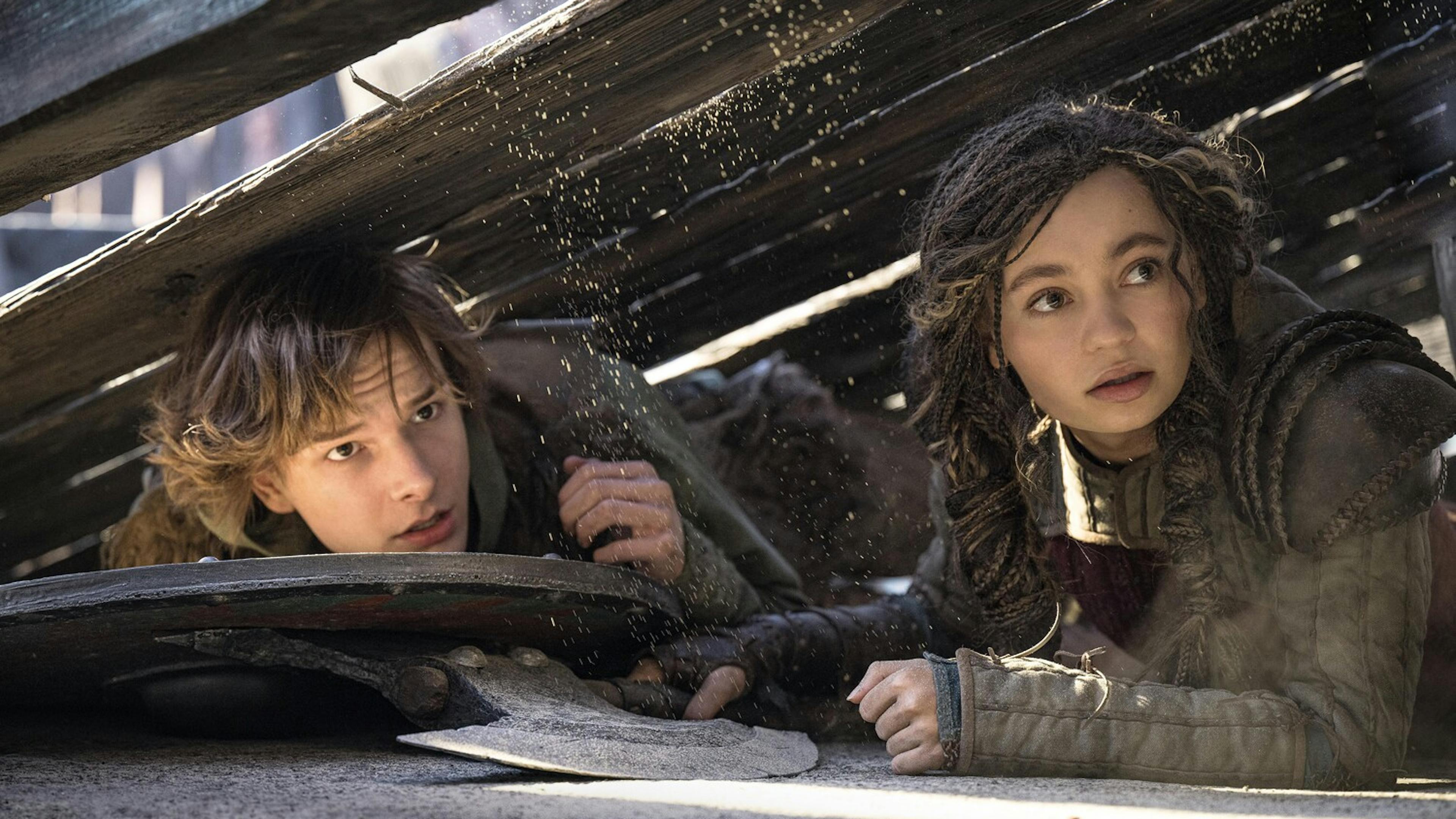 Affiche du film Dragons
