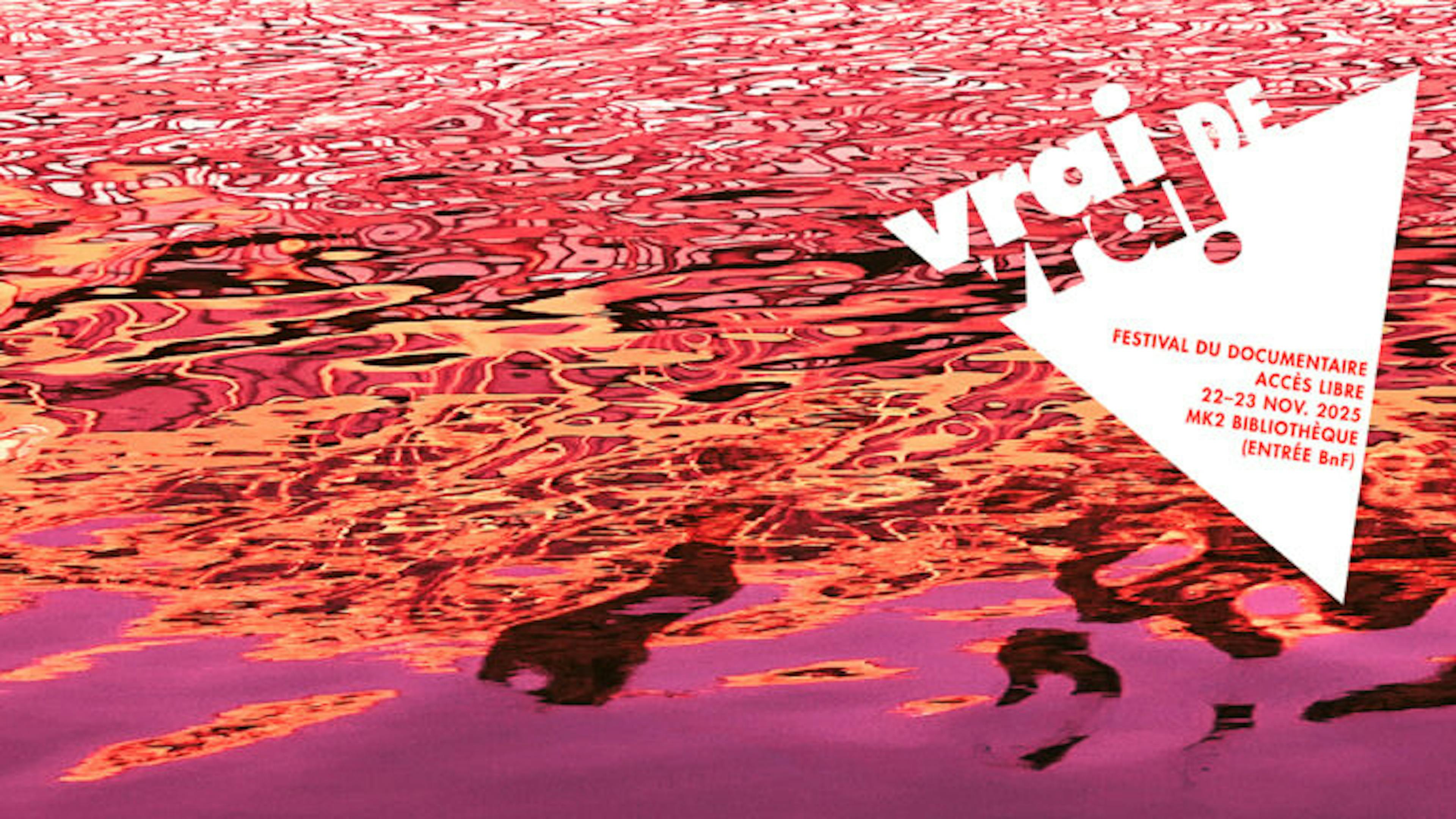 Affiche de l'événement Festival Vrai de Vrai 2025