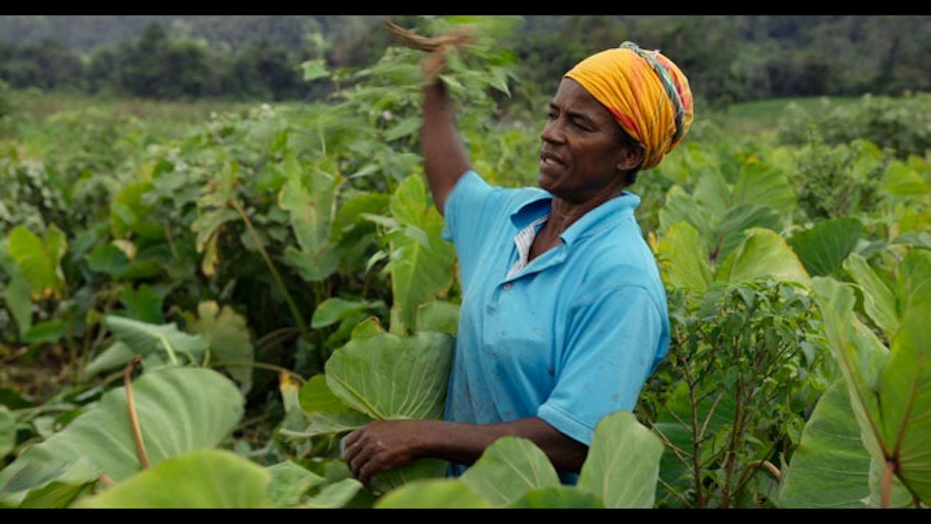 Affiche de l'événement Face à la crise planétaire de la mutualité