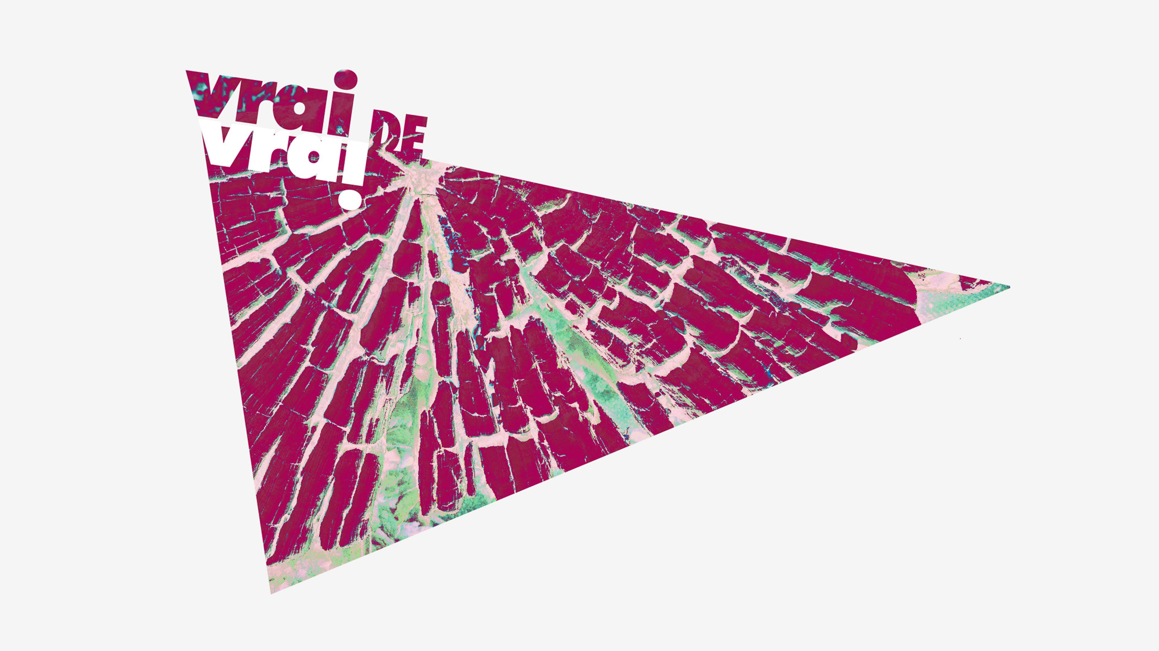 Affiche du film FESTIVAL VRAI DE VRAI