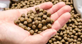 Fish feed industry