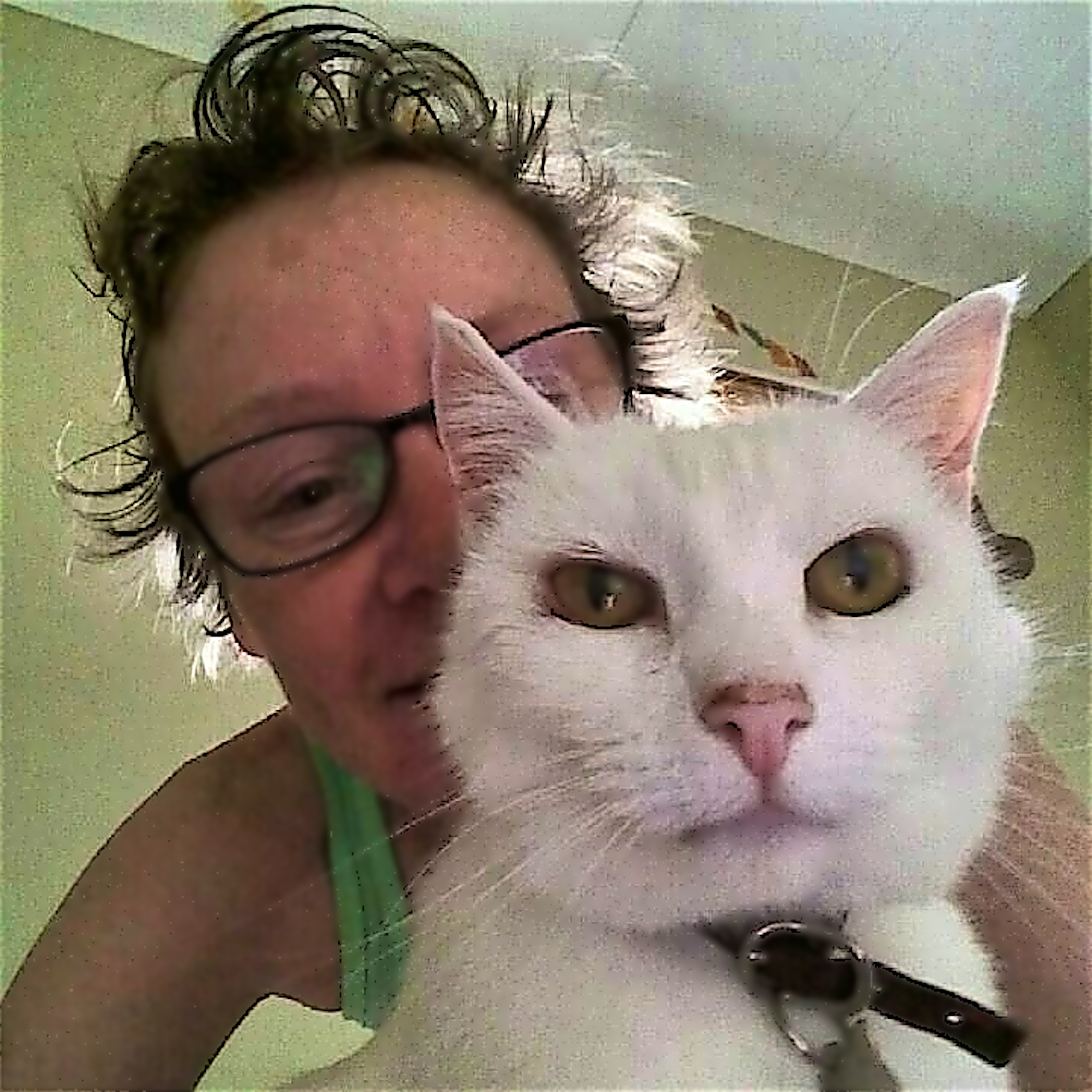 Profile picture of Grace and her cat Nilly.