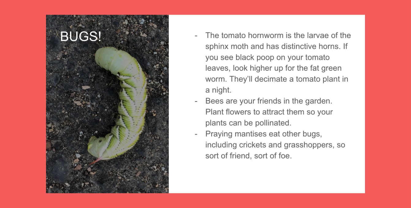 あなたなしではスライドに意味なし インタラクティブプレゼンテーションのすすめ Mmhmm