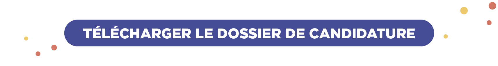 Télécharger le dossier de candidature aux PSMT 2021