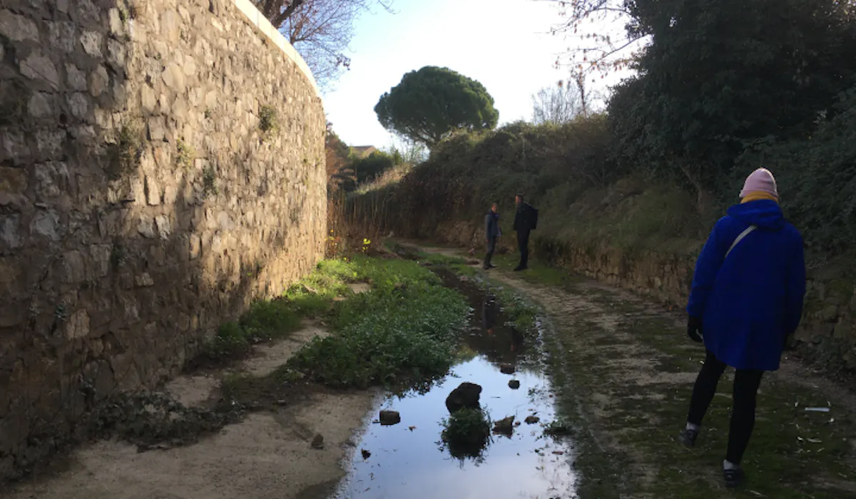Fonds MNT, bassin de Thau